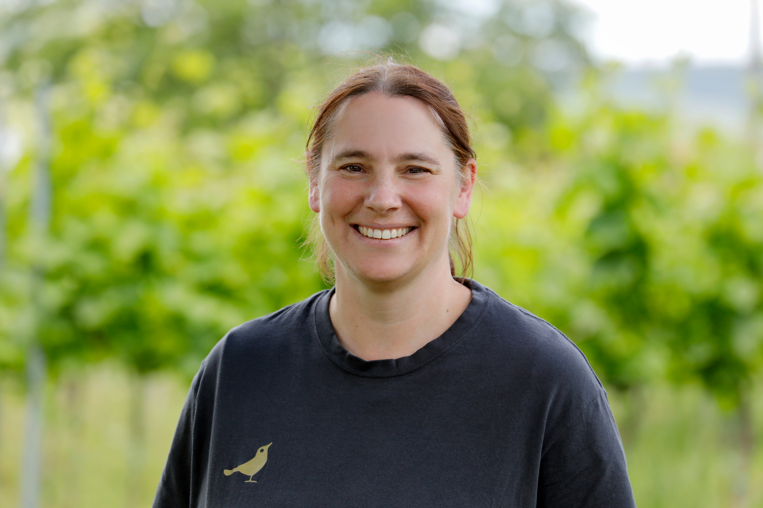 Brigitte Fried, Vinothek