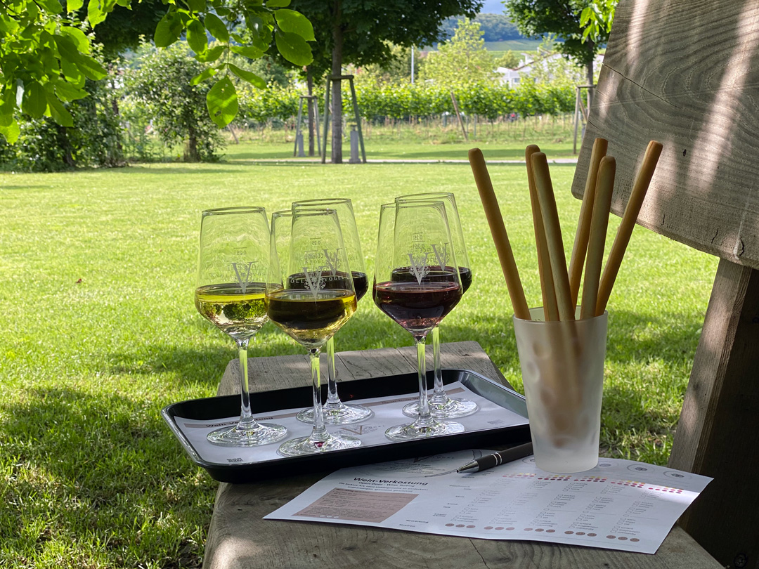 Weinflight mit fünf Gläsern, Grissini und Bewertungsblatt im Garten des Weinguts